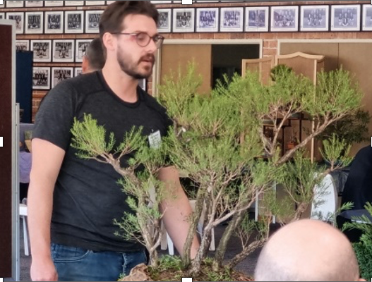 man and bonsai plant