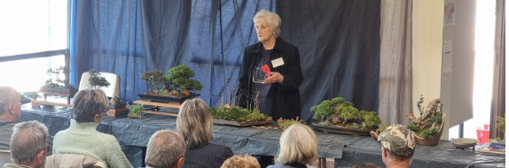 Brenda Parker talks Saikei