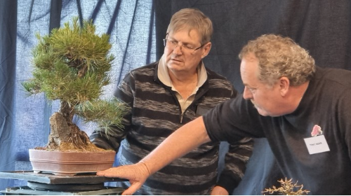 Chris and Tony discuss options during the critique. Some good trees were up for discussion!