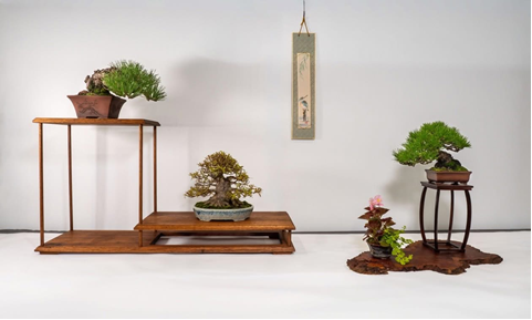 Sean Hood took out the Shohin or Mini award with this elegant display.