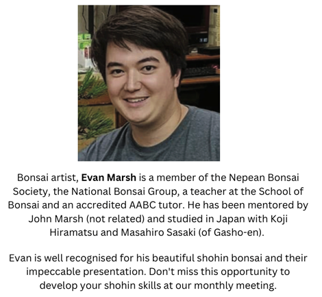 Bonsai artist, Evan Marsh is a member of the Nepean Bonsai Society, the National Bonsai Group, a teacher at the School of Bonsai and an accredited AABC tutor. He has been mentored by John Marsh (not related) and studied in Japan with Koji Hiramatsu and Masahiro Sasaki (of Gasho-en). 
Evan is well recognised for his beautiful shohin bonsai and their impeccable presentation. Don't miss this opportunity to develop your shohin skills at our monthly meeting. 